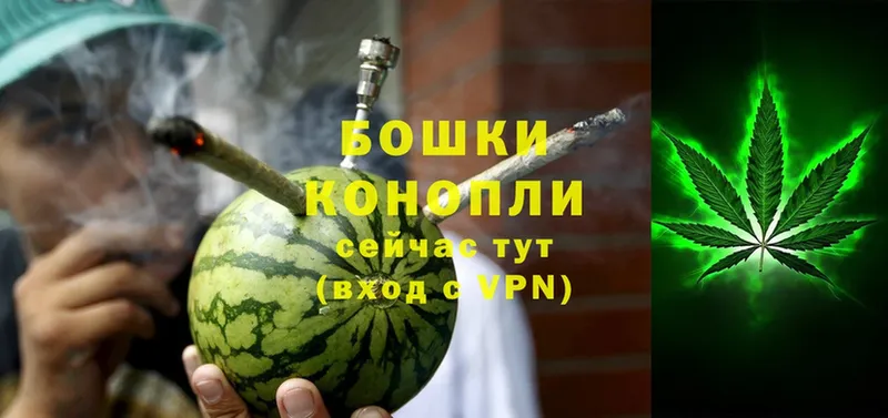 площадка состав  Красный Кут  Конопля Bruce Banner  как найти наркотики 